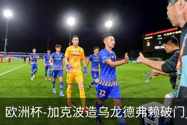 欧洲杯-加克波造乌龙德弗赖破门 荷兰2-1土耳其